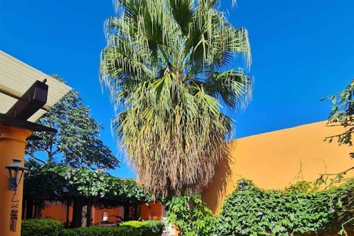 Hostal Paradiso Asuncion Exterior photo